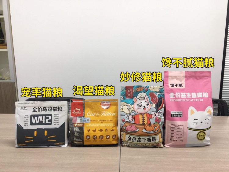 寿命短暂的猫会有的特征希望你家猫一个都不占