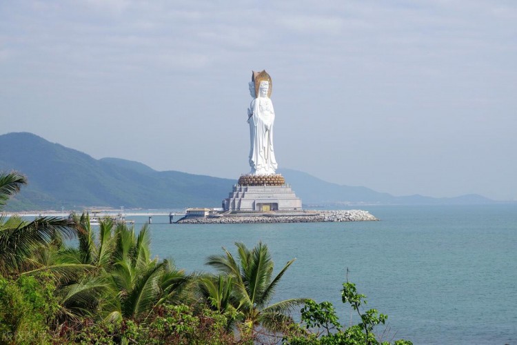 宠物旅游托运攻略｜被称为东方夏威夷——三亚